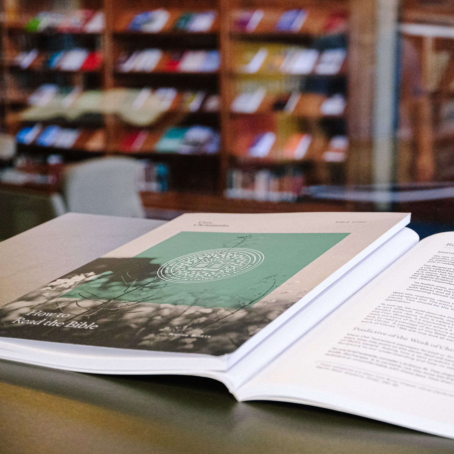 How to Read the Bible Study