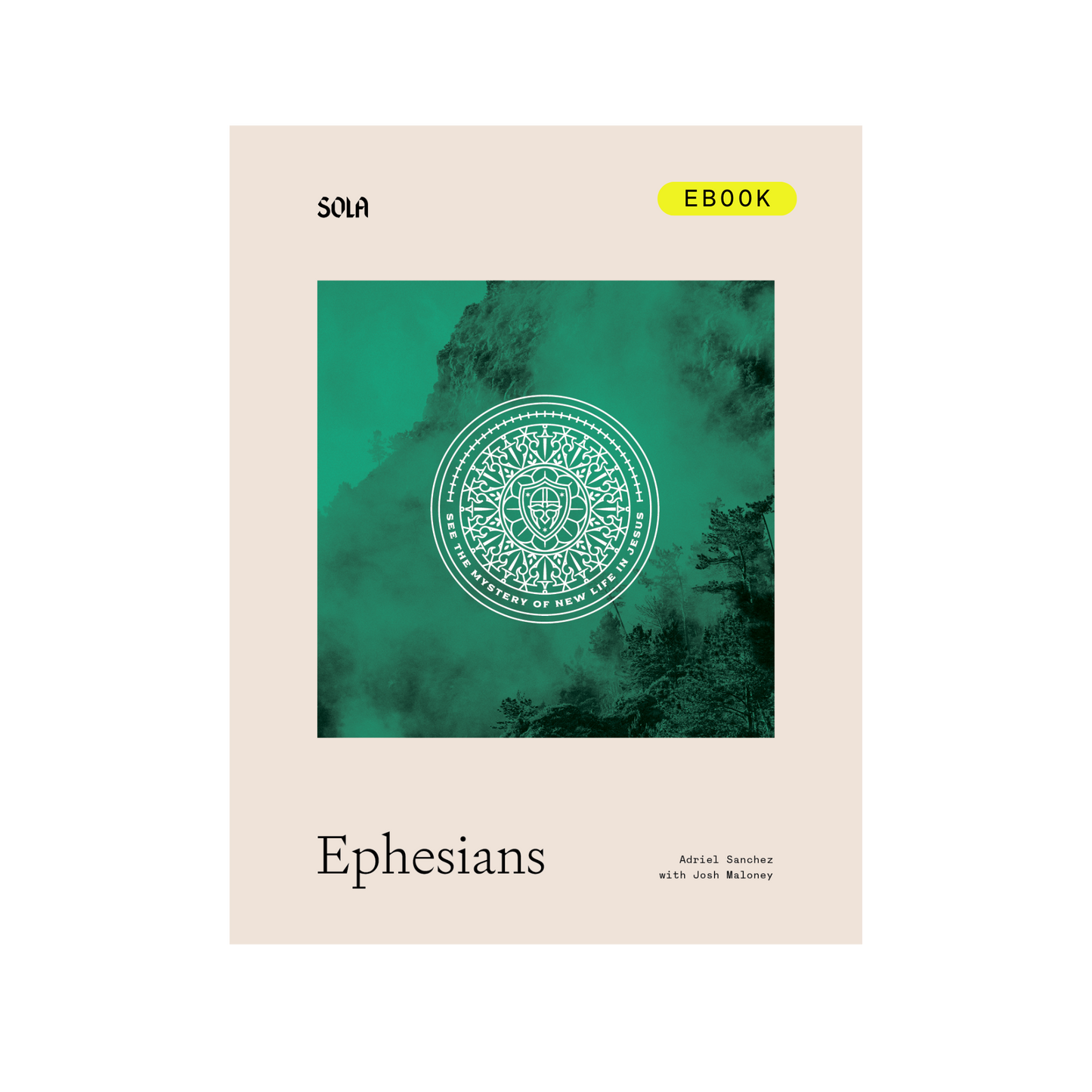 Ephesians Bible Study Leader's Edition - eBook