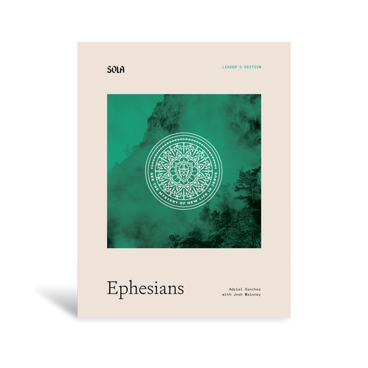Ephesians Bible Study Leader's Edition - Workbook