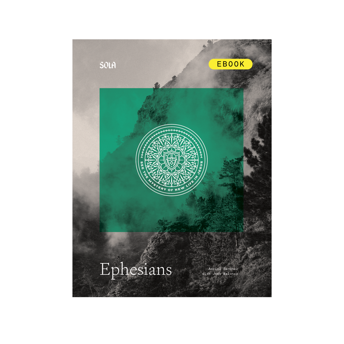 Ephesians Bible Study - eBook