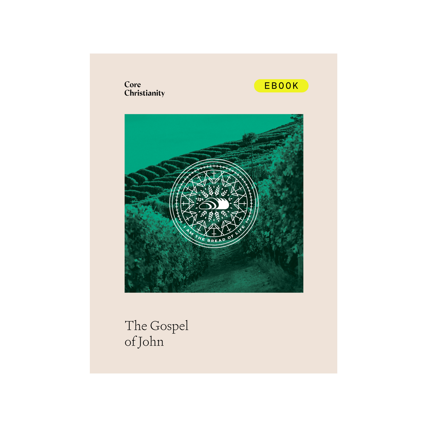 Gospel of John Bible Study Leader's Edition - eBook