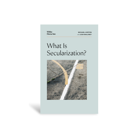What is Secularization?