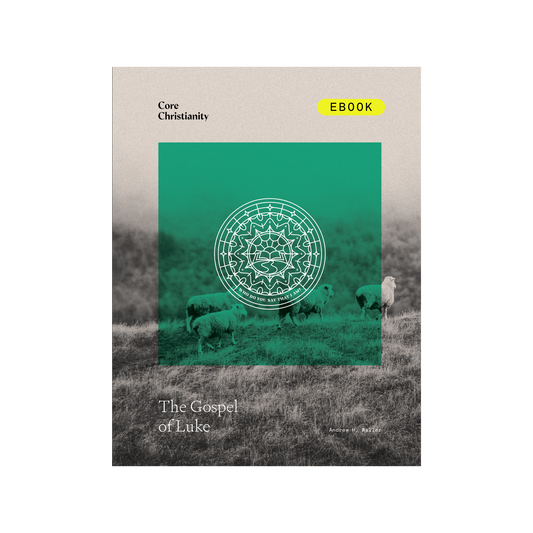 Gospel of Luke Bible Study - eBook