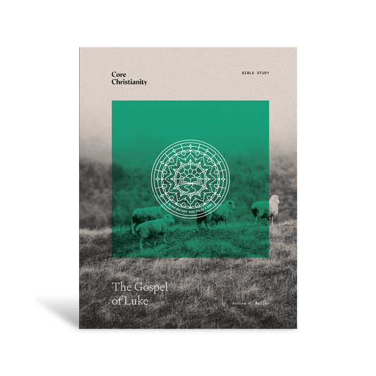 Gospel of Luke Bible Study - Workbook