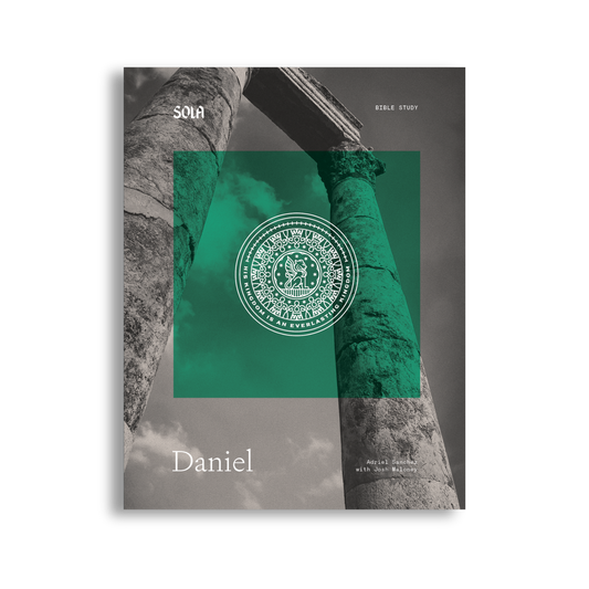 Daniel Bible Study - Workbook