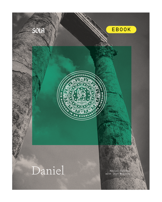 Daniel Bible Study - eBook