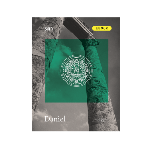 Daniel Bible Study - eBook