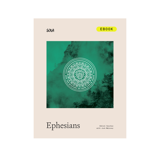 Ephesians Bible Study Leader's Edition - eBook