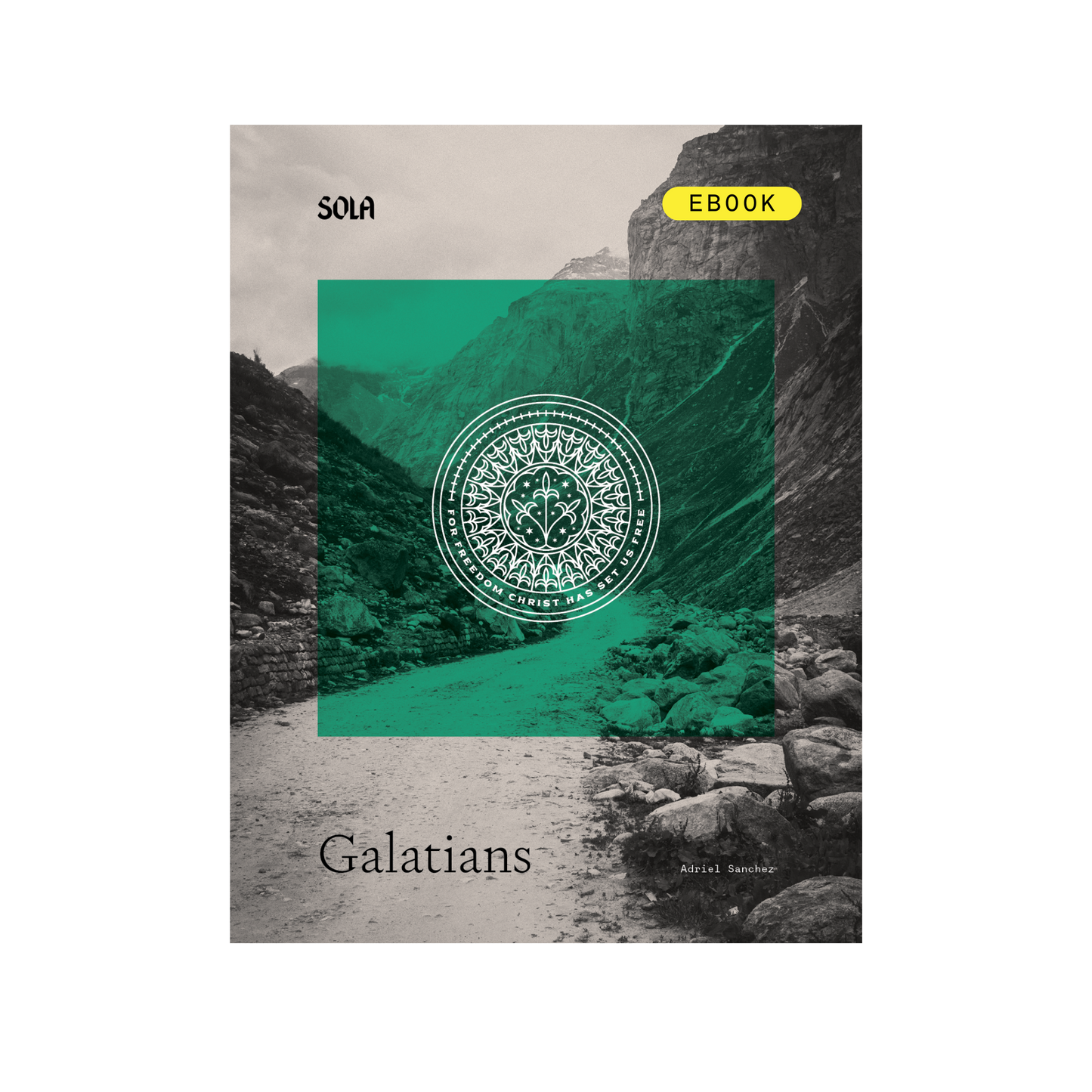 Galatians Bible Study - eBook