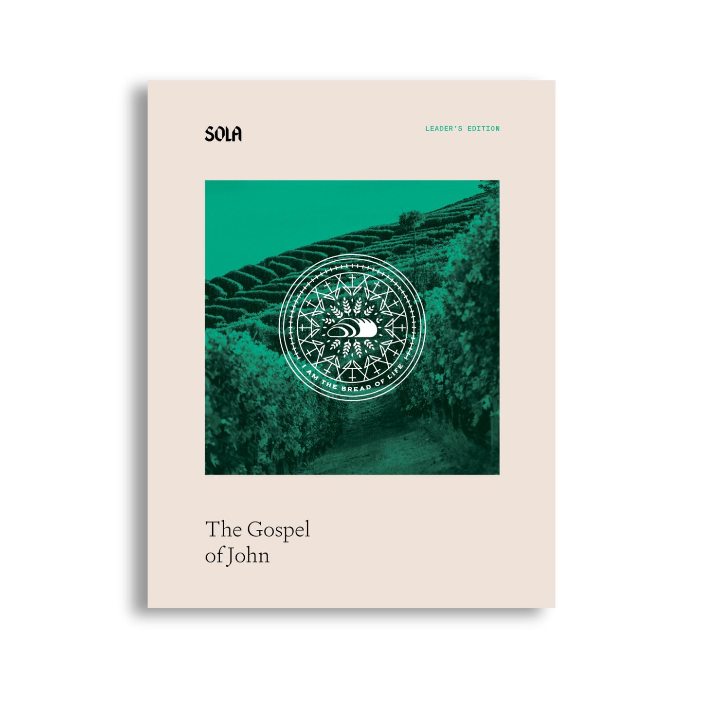 Gospel of John Bible Study Leader's Edition - Workbook