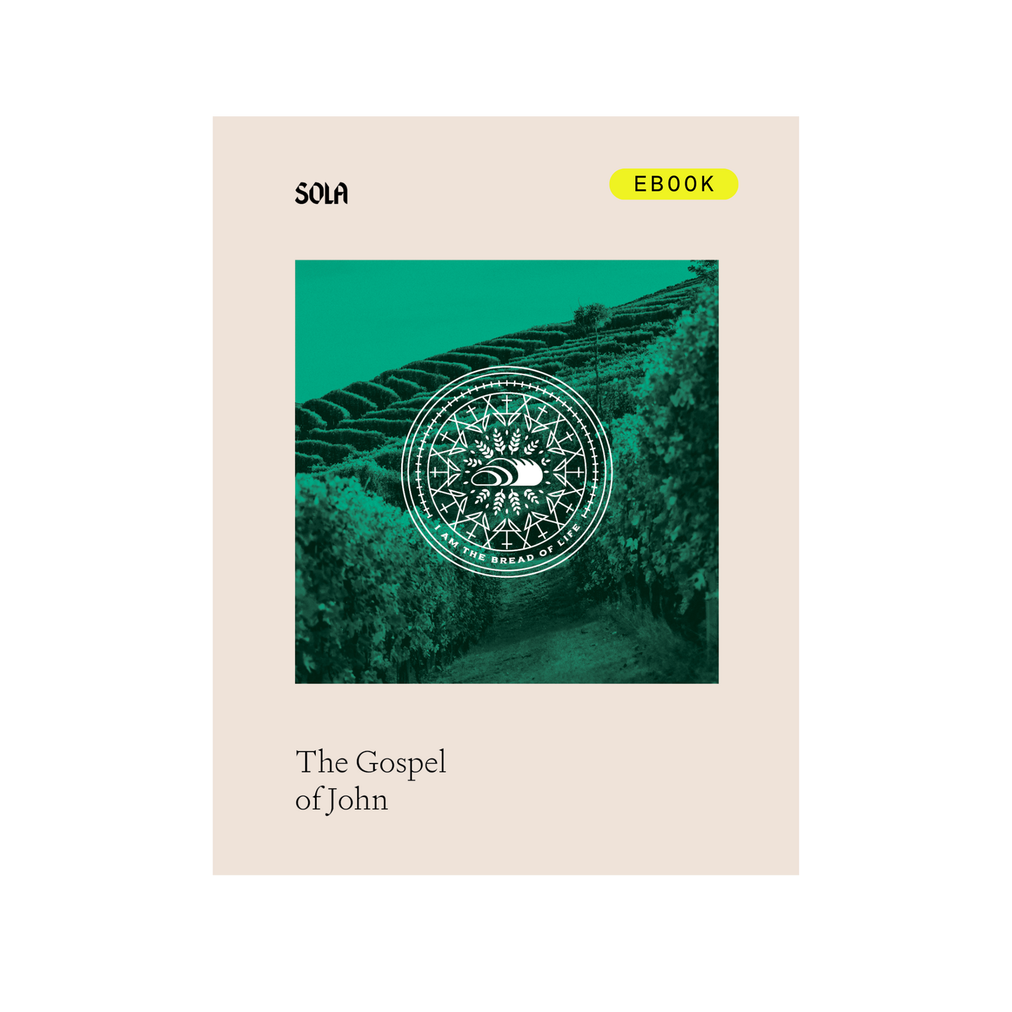 Gospel of John Bible Study Leader's Edition - eBook