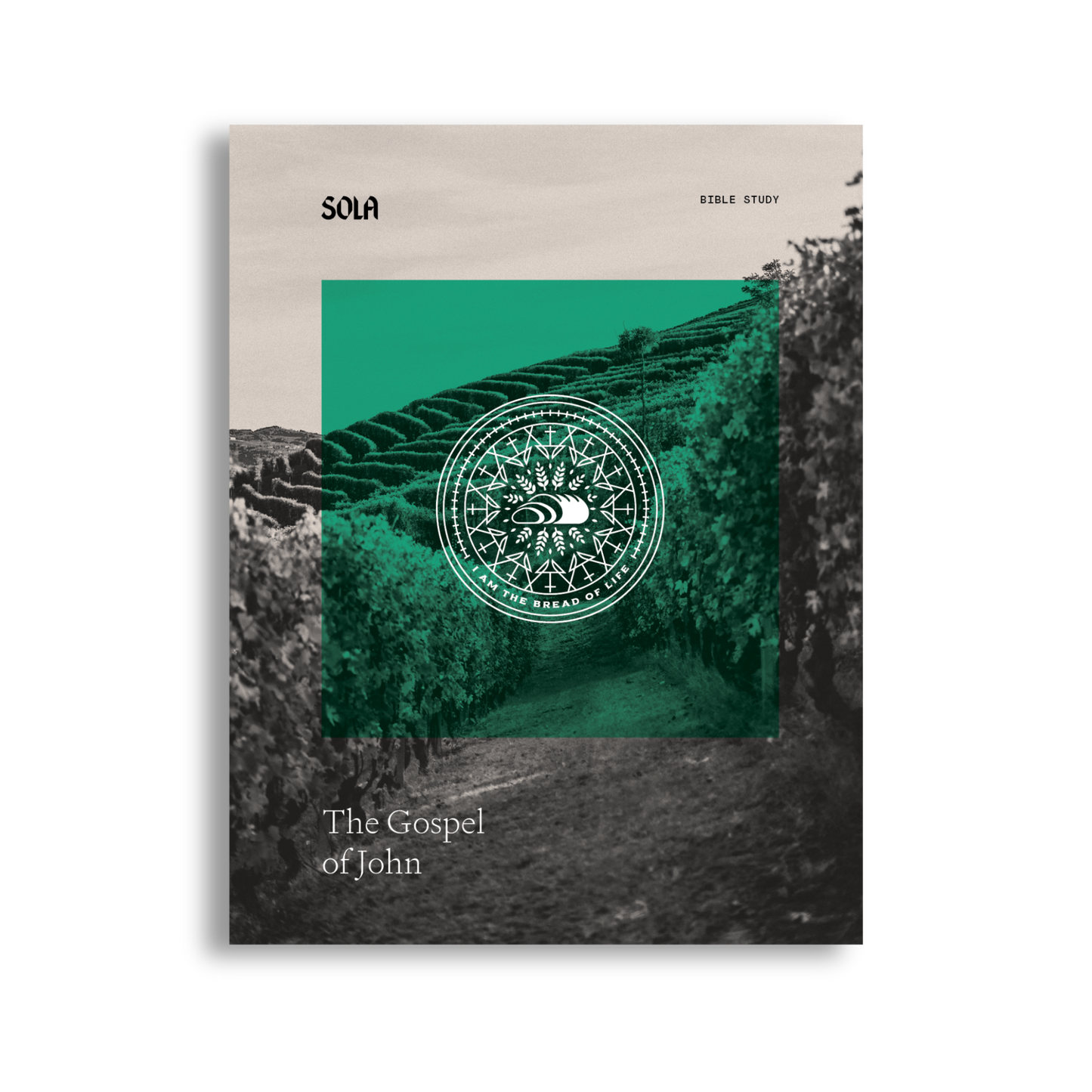 Gospel of John Bible Study - Workbook