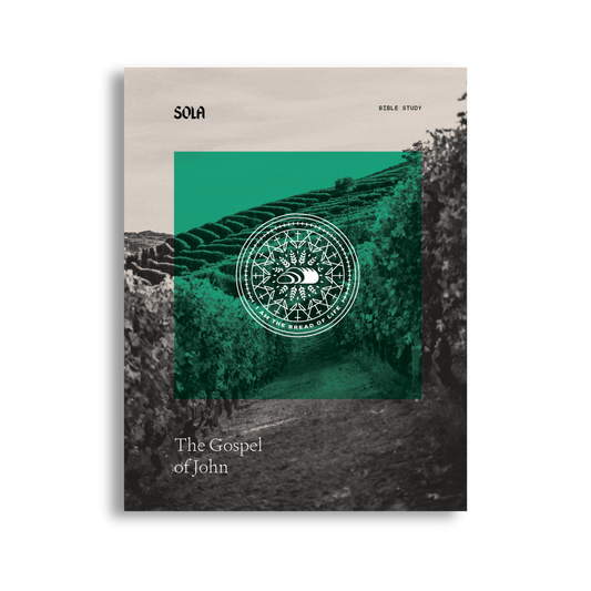 Gospel of John Bible Study - Workbook