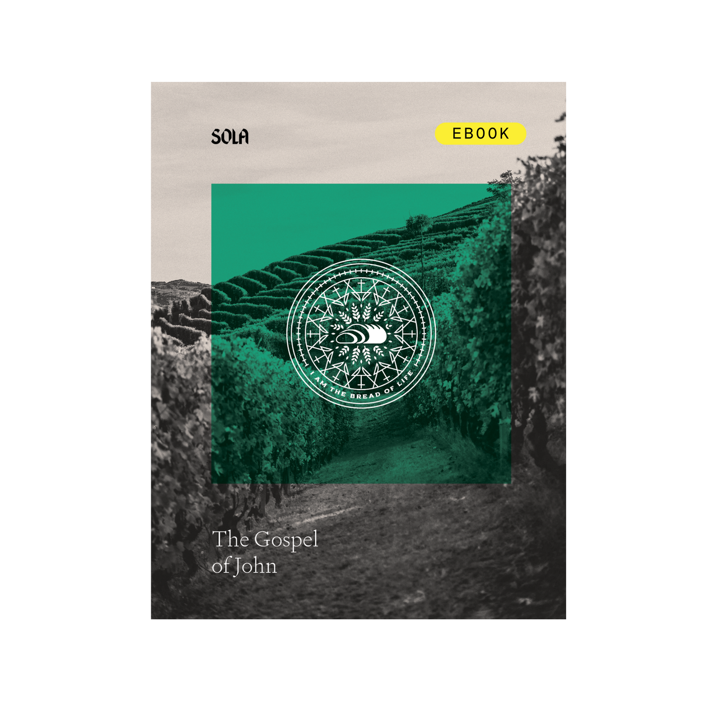 Gospel of John Bible Study - eBook