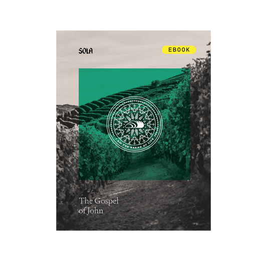 Gospel of John Bible Study - eBook