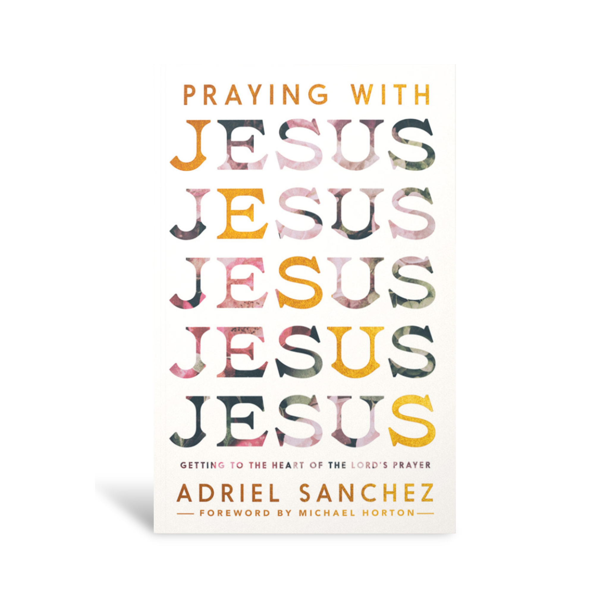 PrayingwithJesus.png?v=