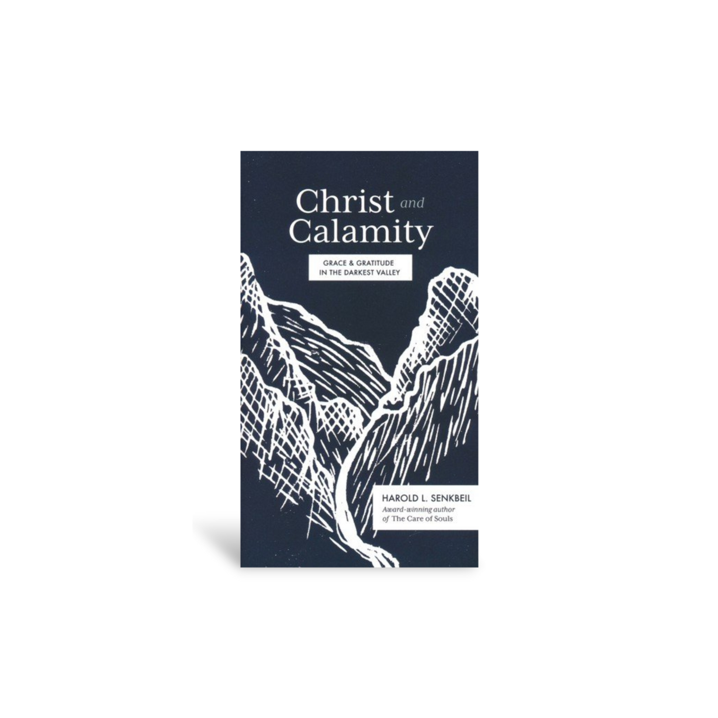 Christ and Calamity: Grace and Gratitude in the Darkest Valley