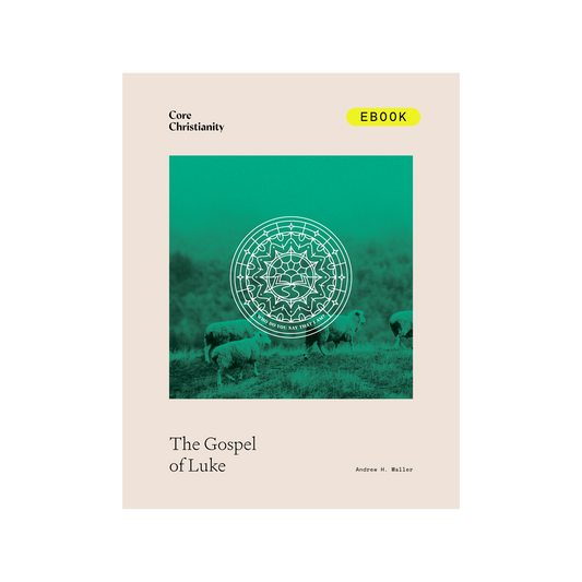 Gospel of Luke Bible Study Leader's Edition - eBook