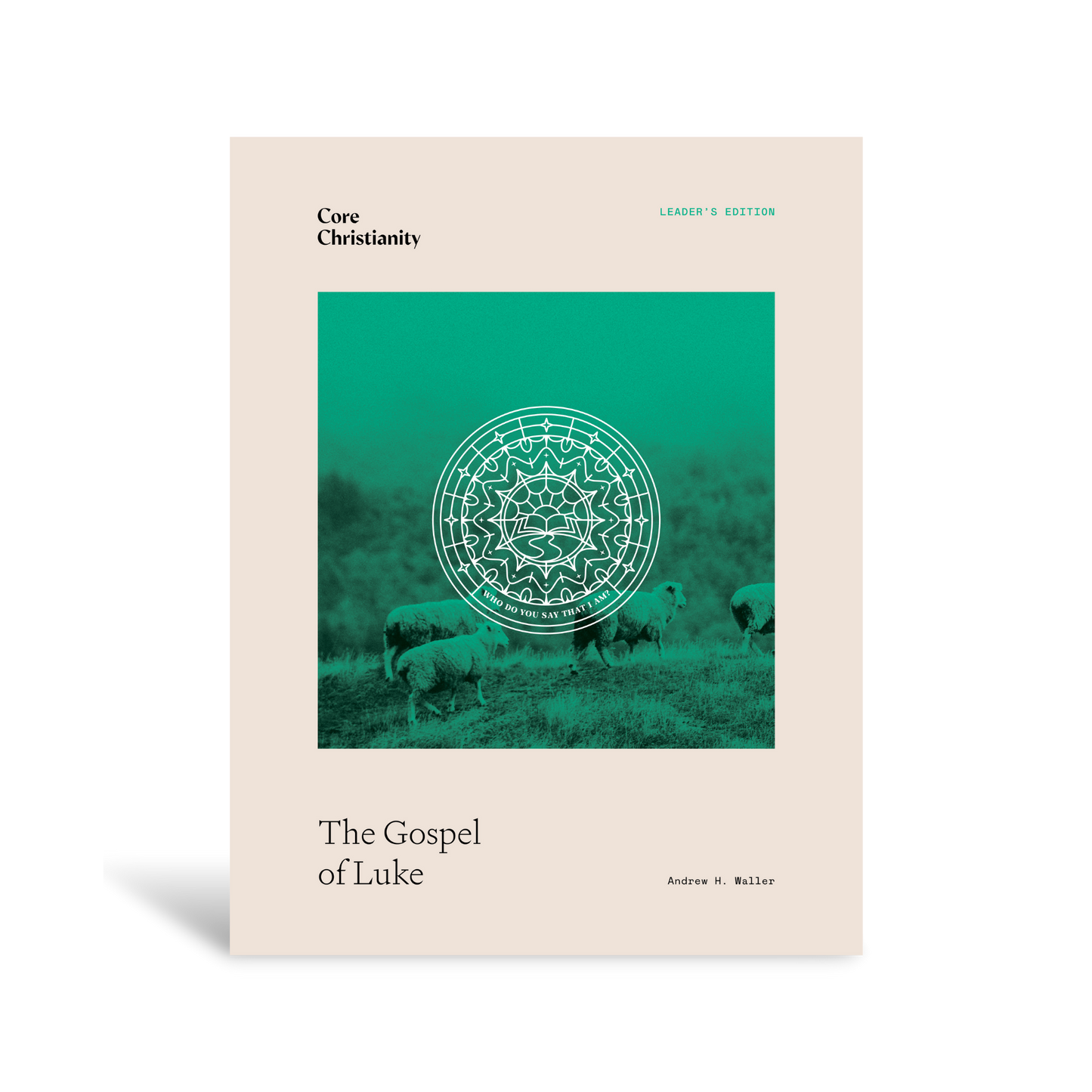 Gospel of Luke Bible Study Leader's Edition - Workbook